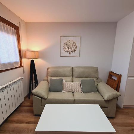 Puente Viejo Apartment Santa Cilia de Jaca Exterior photo